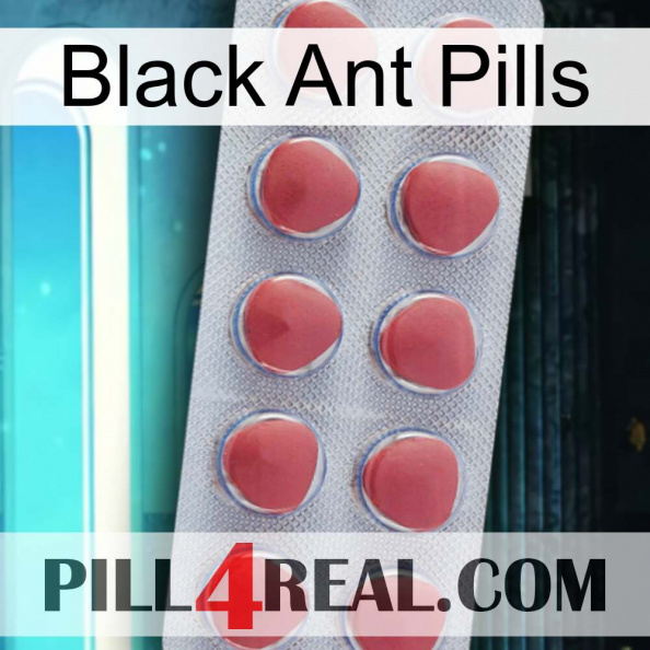 Black Ant Pills 18.jpg